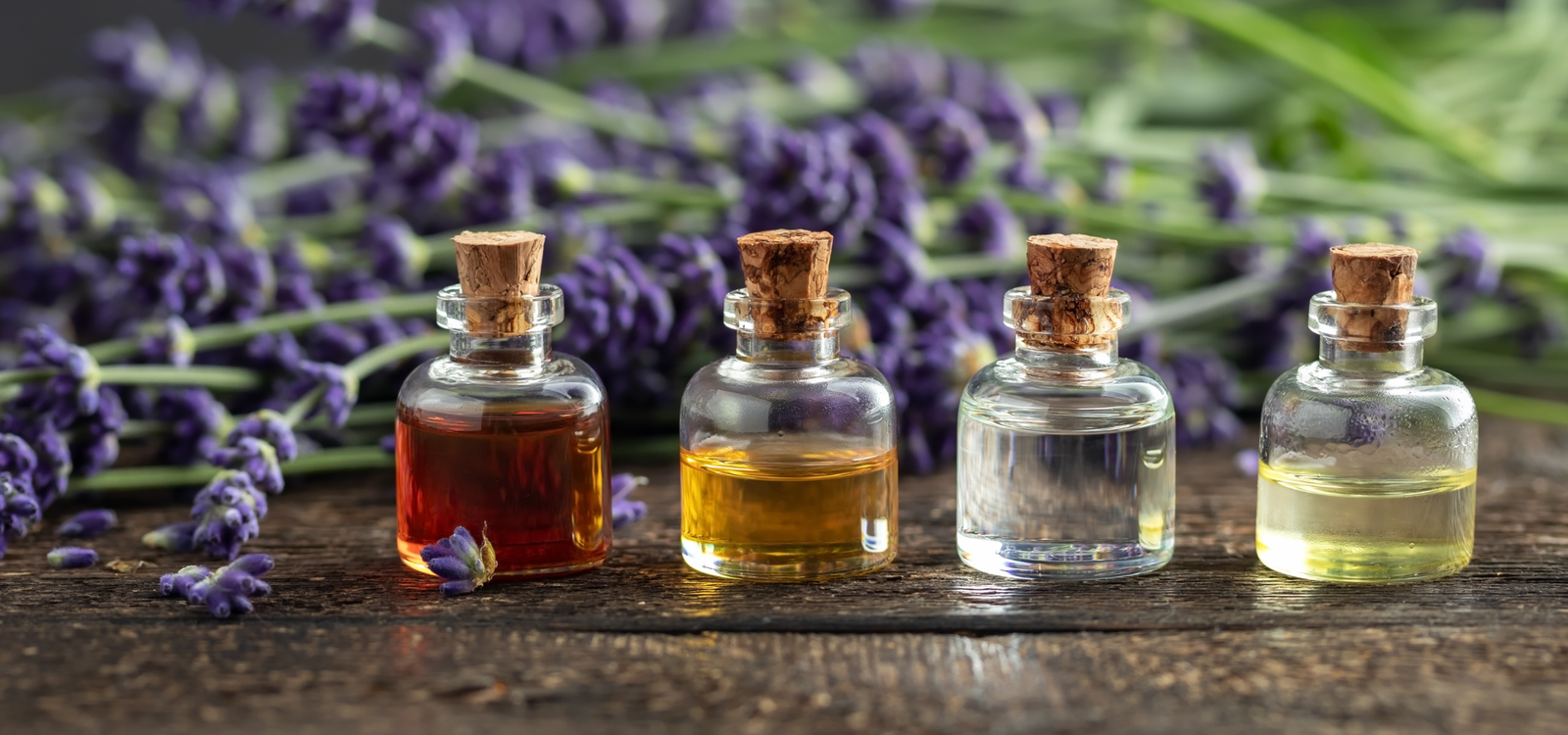 Essential oils are a popular choice for repelling clothes-eating insects